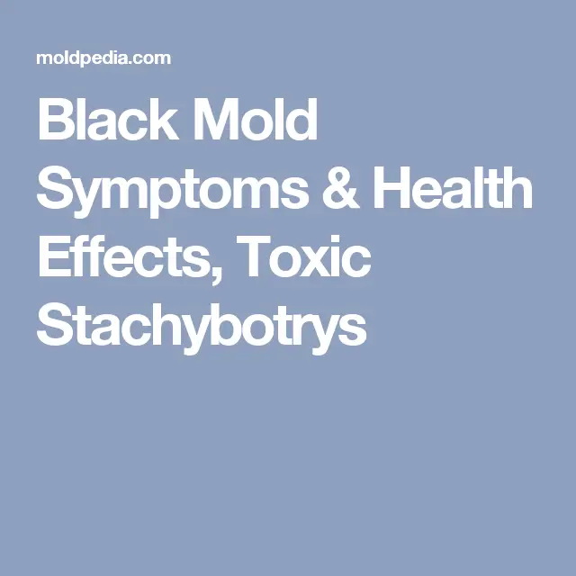 Black Mold Symptoms &  Health Effects, Toxic Stachybotrys