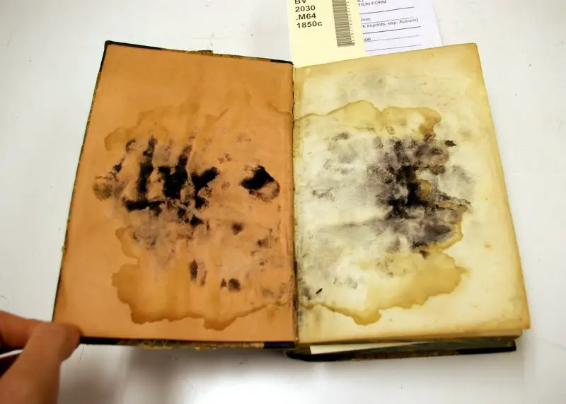 Book Mold Damaged 600,000 Volumes