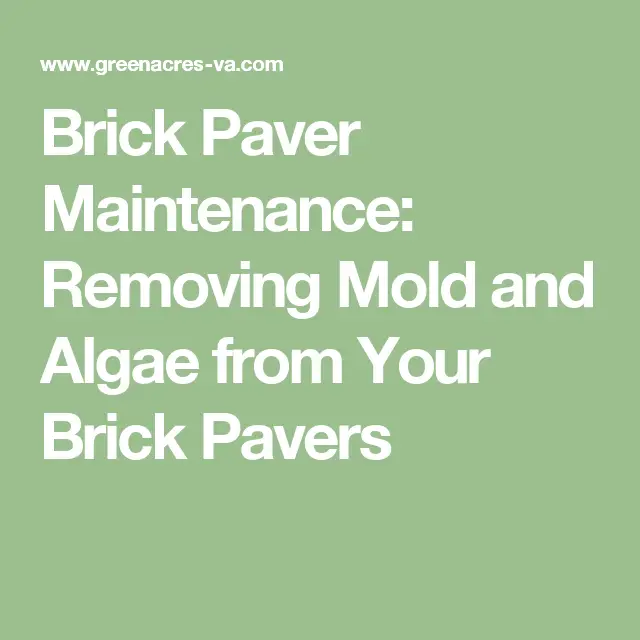 Brick Paver Maintenance: Removing Mold and Algae from Your Brick Pavers ...