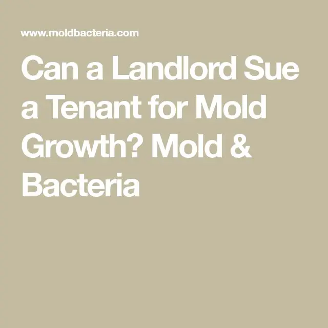 Can a Landlord Sue a Tenant for Mold Growth?