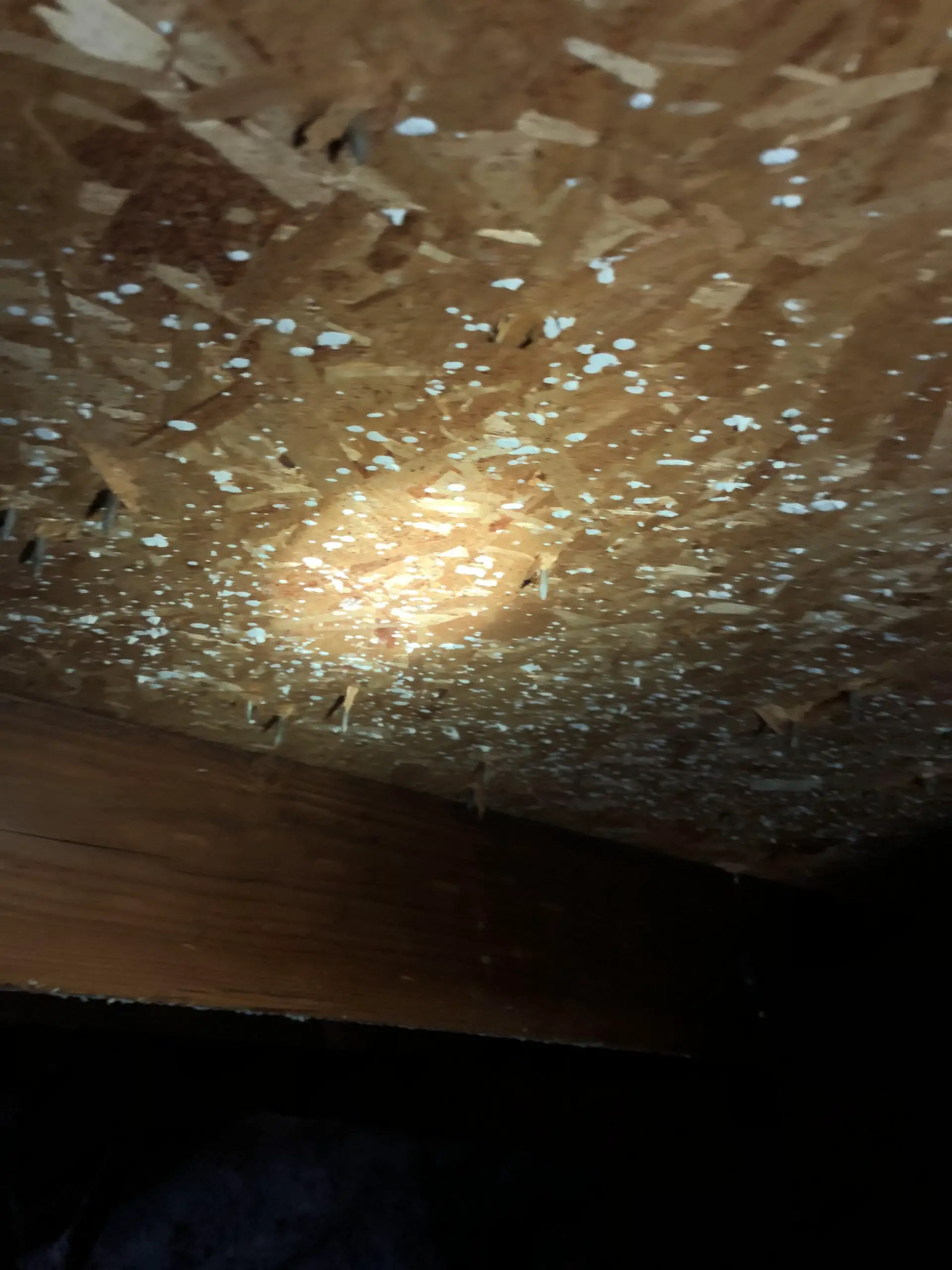 Can anyone confirm if this is white mold in my attic? : Home