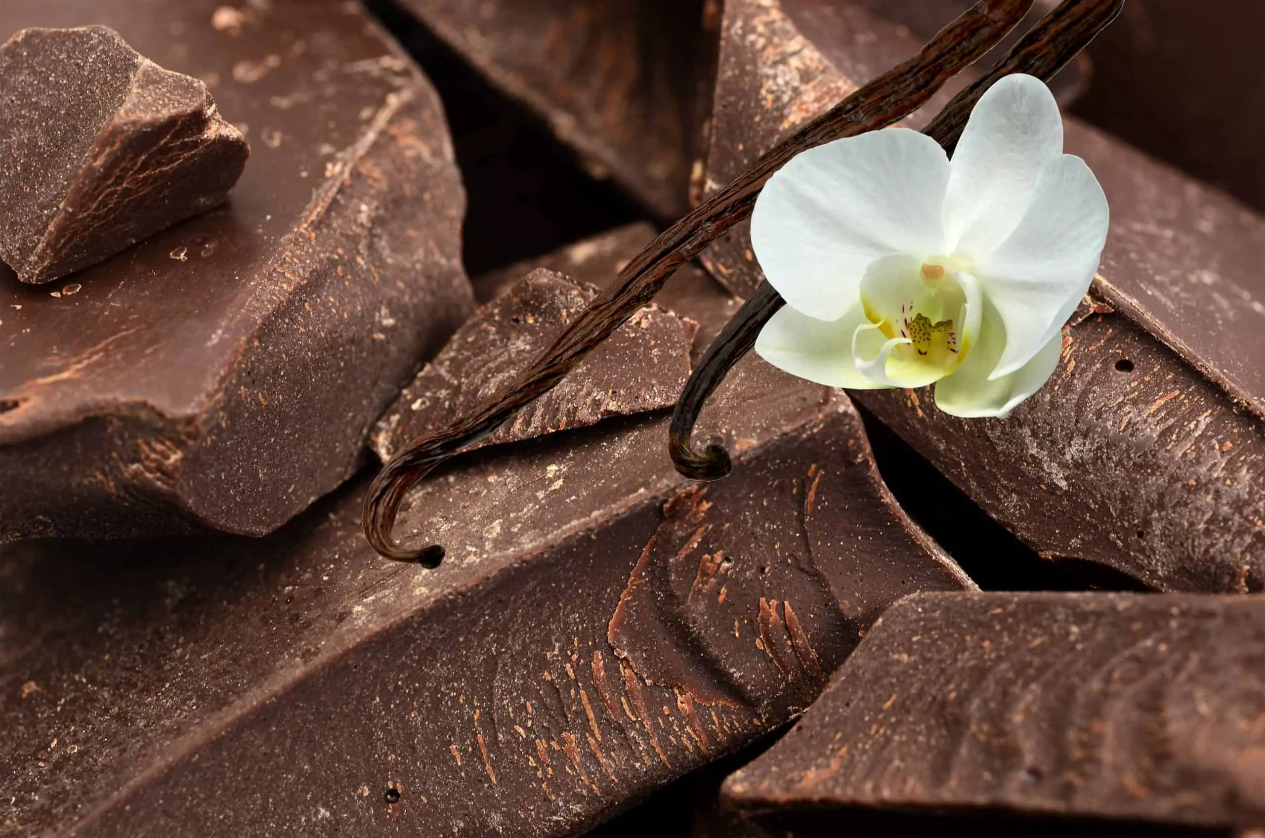 Can Chocolate Get Moldy? Does Mold On Chocolate Get You Sick?