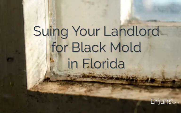Can I Sue My Landlord for Black Mold in My Florida Rental?