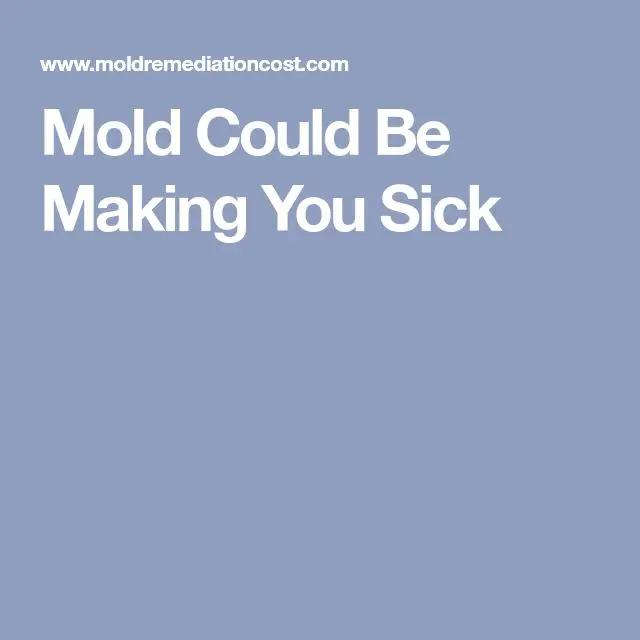 Can Mildew Make You Sick