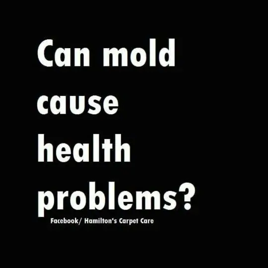 Can mold cause health problems? Molds are usually not a problem indoors ...