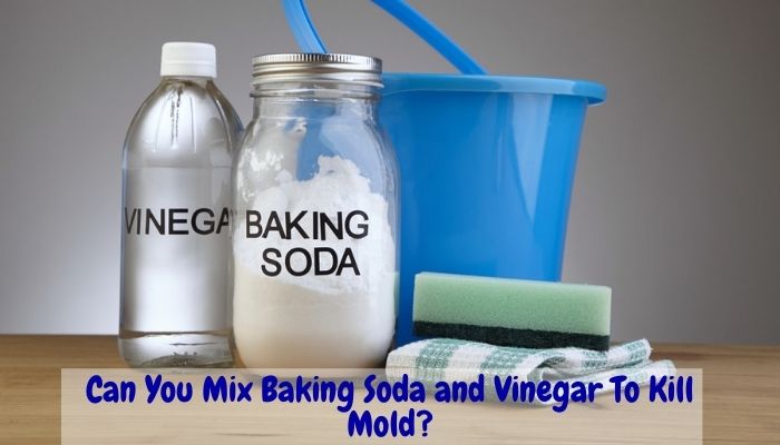 Can You Mix Baking Soda and Vinegar To Kill Mold?