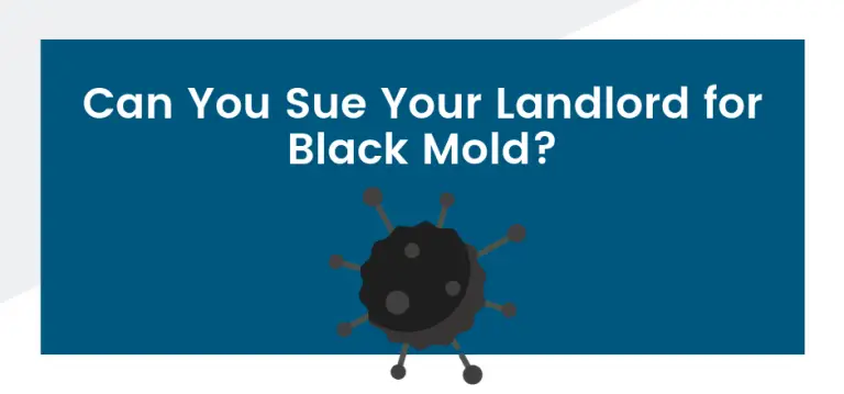 Can You Sue Your Landlord for Black Mold?