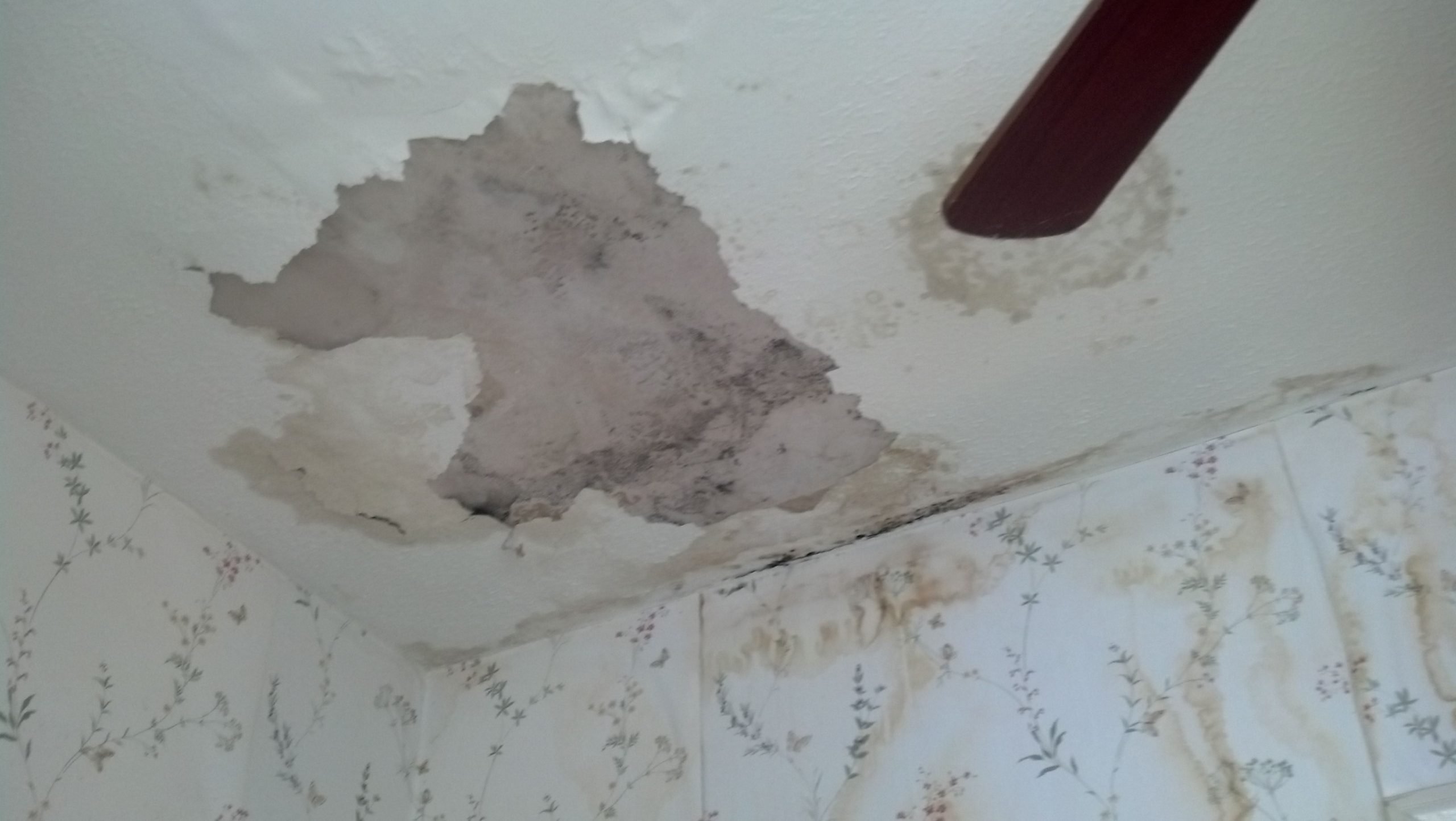 ceiling damage and mold from roof leak in poquoson, virginia # ...