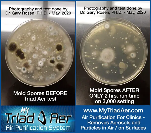 Children and Mold