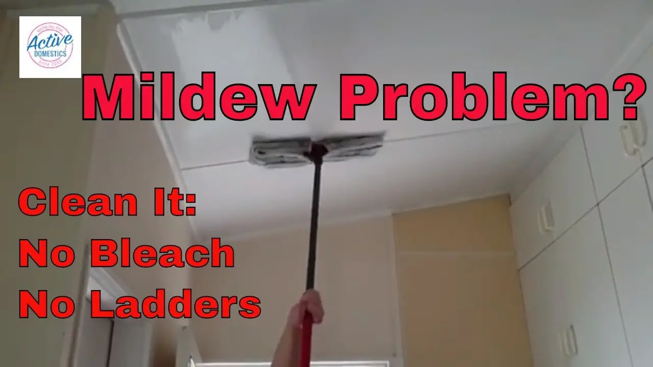 Clean Mildew from Ceilings and Walls in 10 minutes