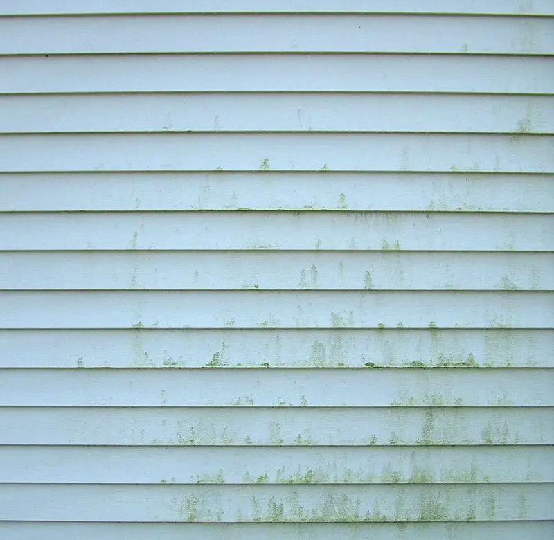 Clean Mold off Vinyl Siding Without Harsh Chemicals.