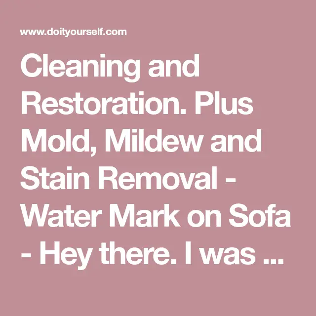 Cleaning and Restoration. Plus Mold, Mildew and Stain Removal