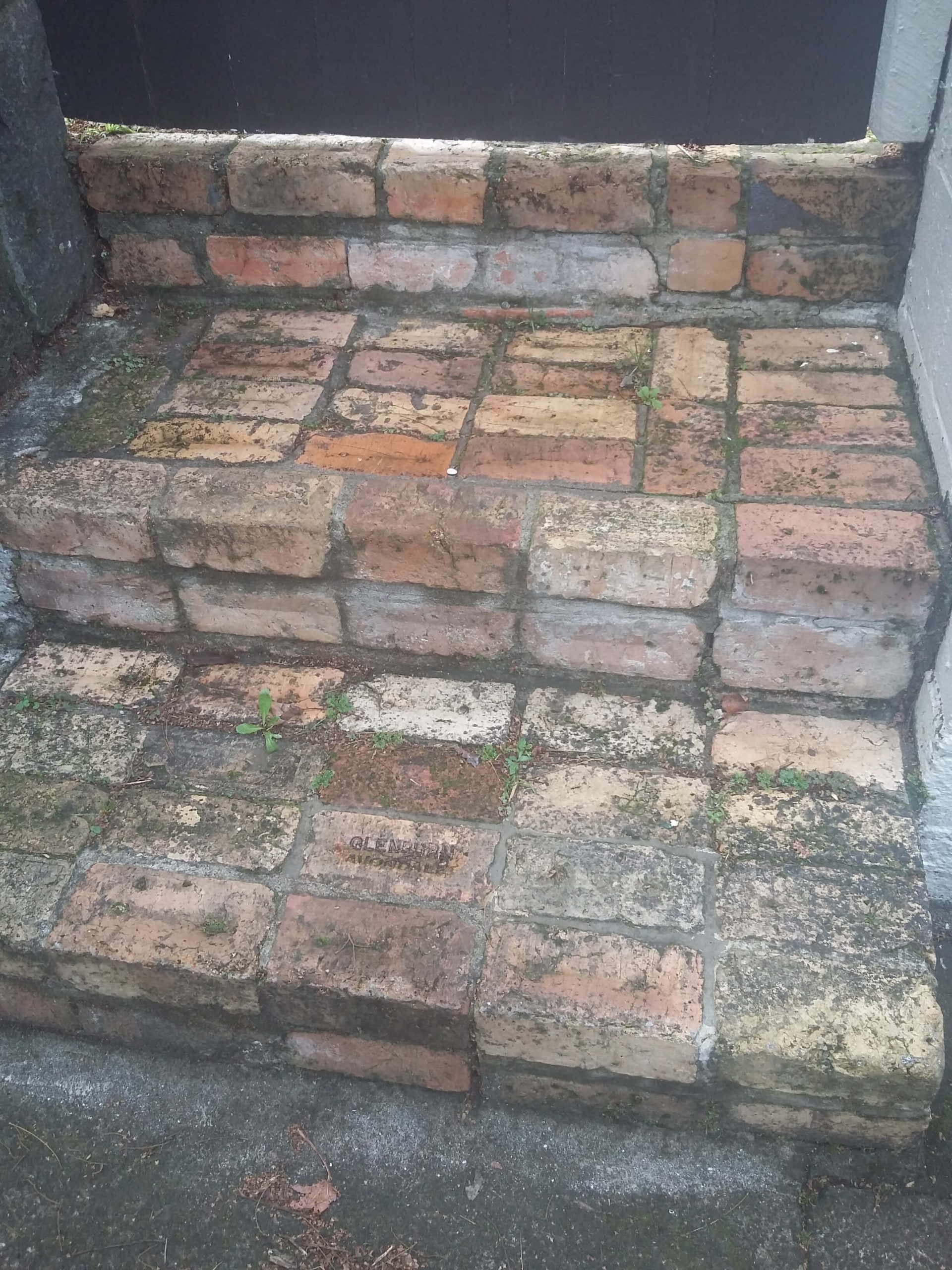 Cleaning Mold and Mildew Off Bricks