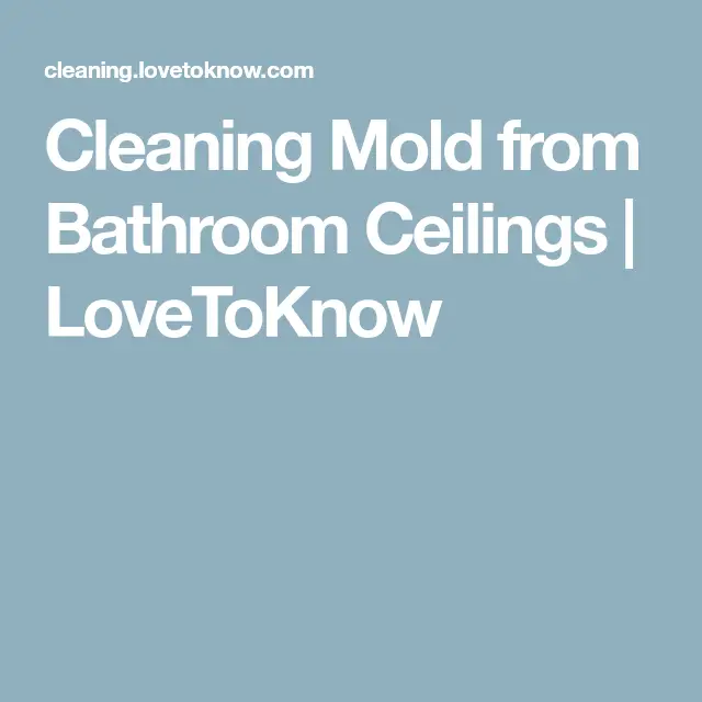 Cleaning Mold from Bathroom Ceilings