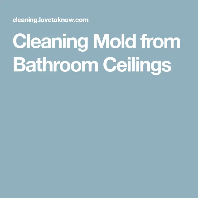 Cleaning Mold from Bathroom Ceilings