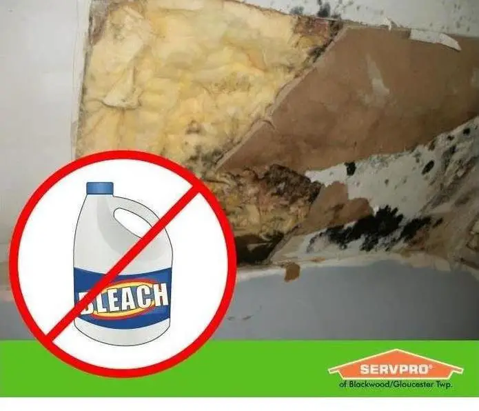 Cleaning Mold with Bleach is Hazardous, Don