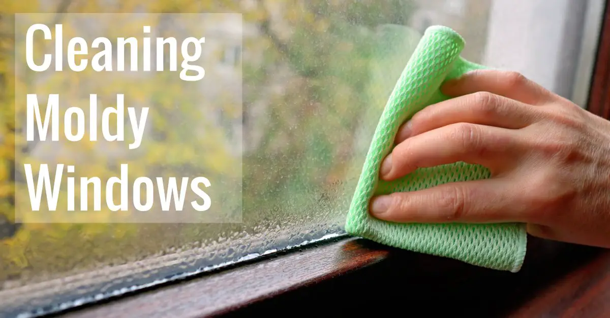 Cleaning Moldy Windows including Glass, Sill, or Frame ...