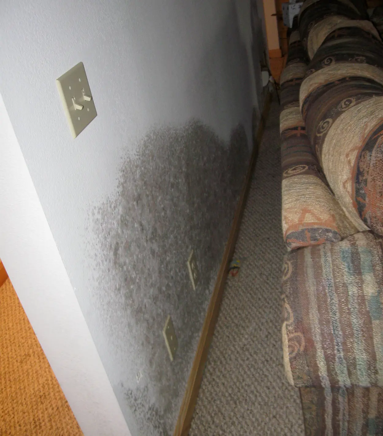 Damp, Moldy Homes Are Associated with Sinus Problems and Bronchitis