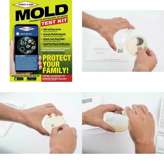 Detects Toxic Black Mold Test Kit For Home Safe Use Do It Yourself ...