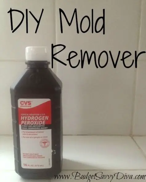 Dilute hydrogen peroxide with water, then spray it on any built