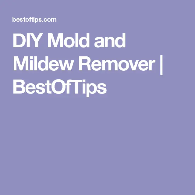 DIY Mold and Mildew Remover