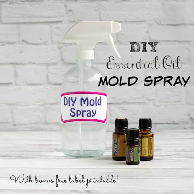 DIY Mold Spray with Essential Oils (and free bonus printable!)