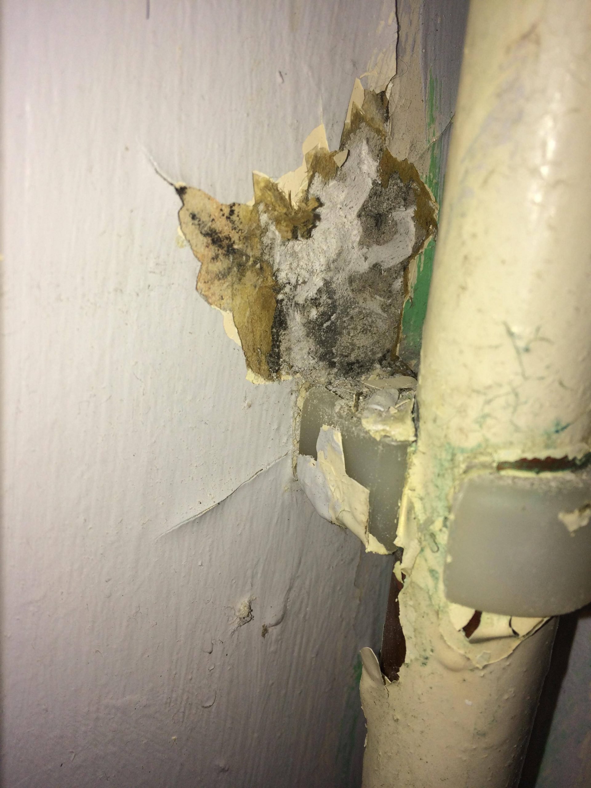 Do these pictures suggest mold is growing behind walls?