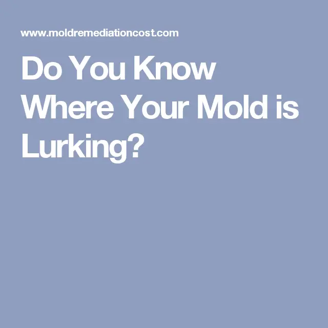 Do You Know Where Your Mold is Lurking?