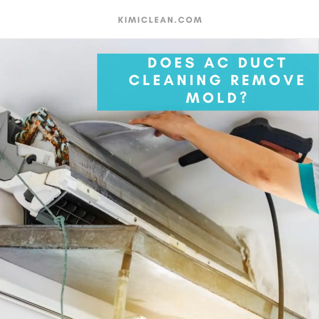 Does AC Duct Cleaning Remove Mold?