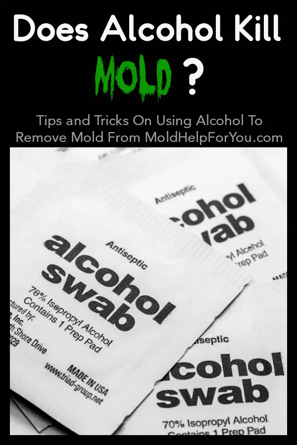 Does Alcohol Kill Mold?