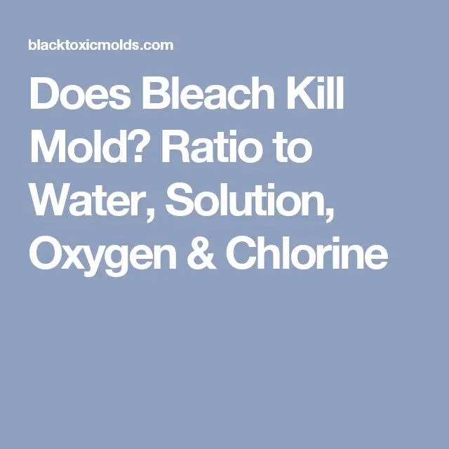 Does Bleach Kill Mold? Ratio to Water, Solution, Oxygen &  Chlorine ...