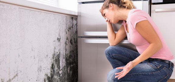Does Homeowners Insurance Cover Mold?