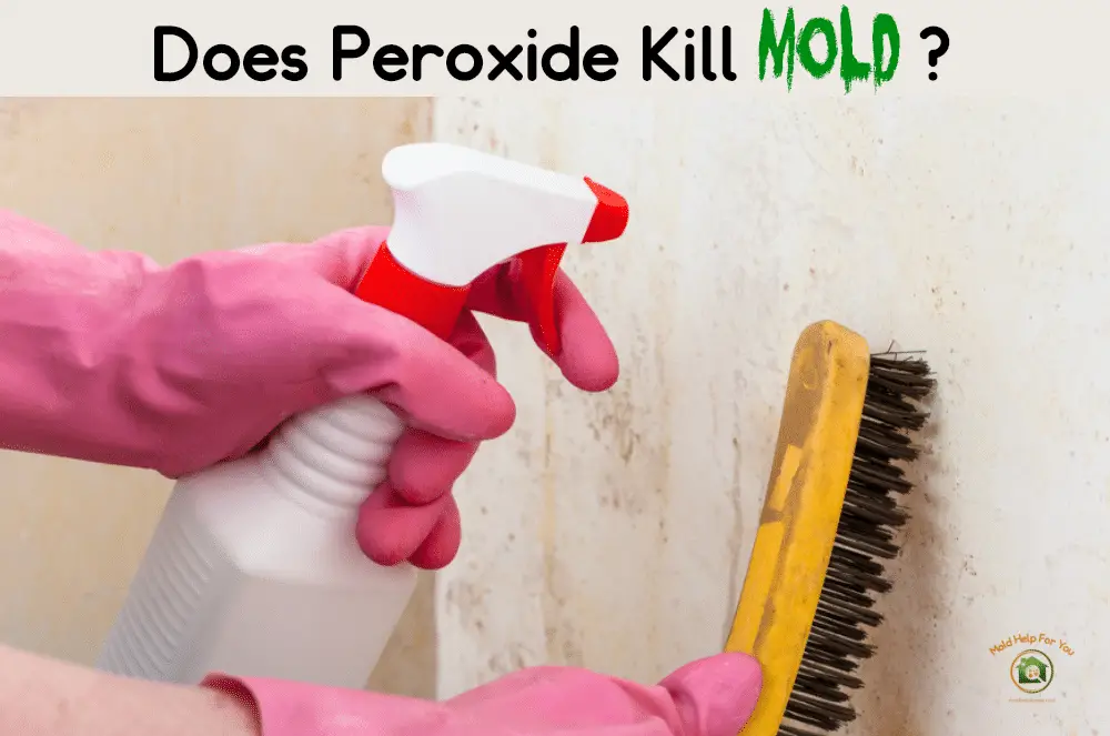 Does Hydrogen Peroxide Kill Mold?
