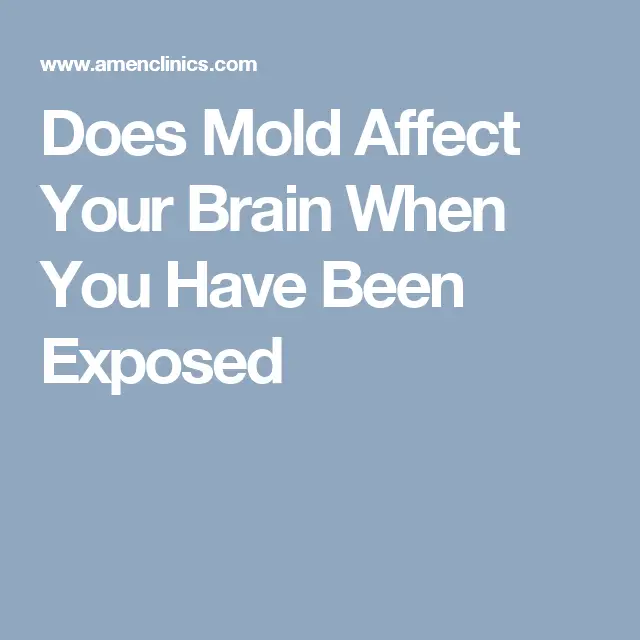 Does Mold Affect Your Brain When You Have Been Exposed
