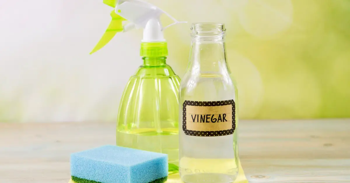 Does Vinegar Kill Mold?