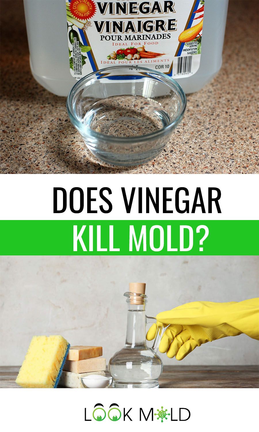 Does Vinegar Kill Mold? What You Need To Know in 2020 ...