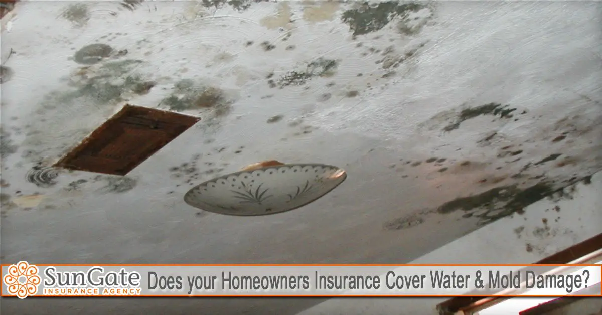Does your Homeowners Insurance Cover Water &  Mold Damage ...