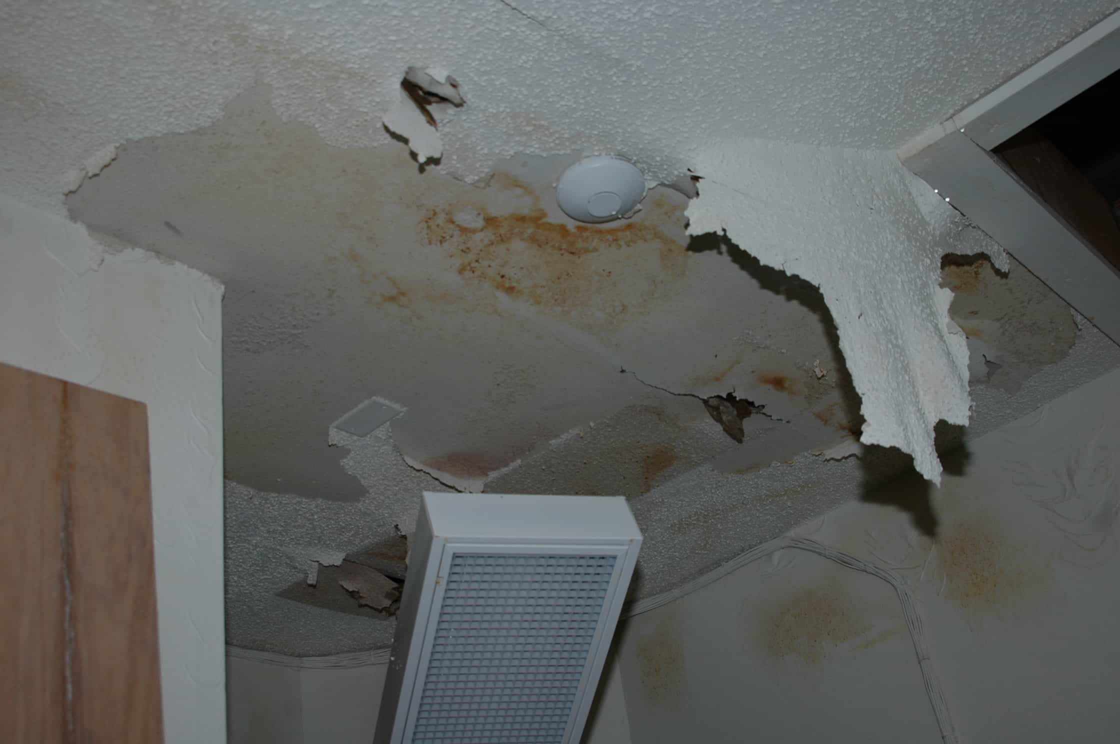 Does Your Insurance Cover Mold In Phoenix Arizona?