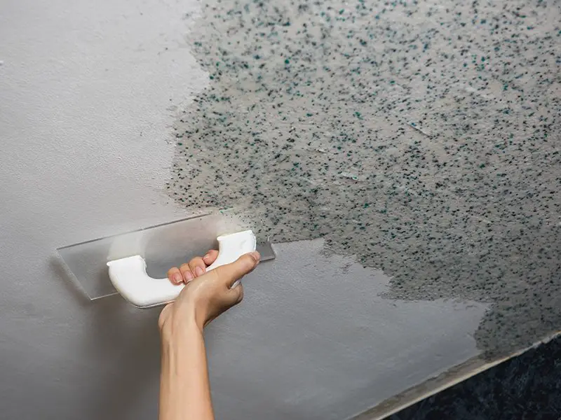 Donât Try to Remove Mold Yourself