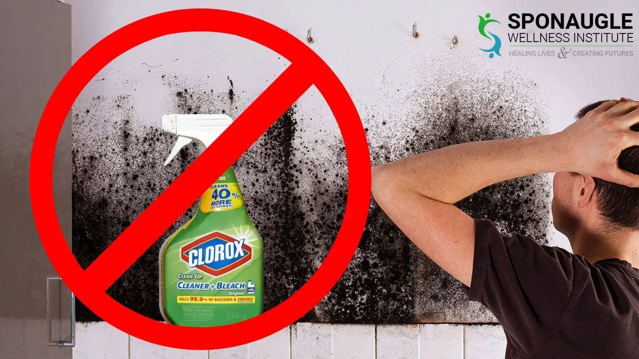 DONT USE BLEACH! How to kill black mold safely!