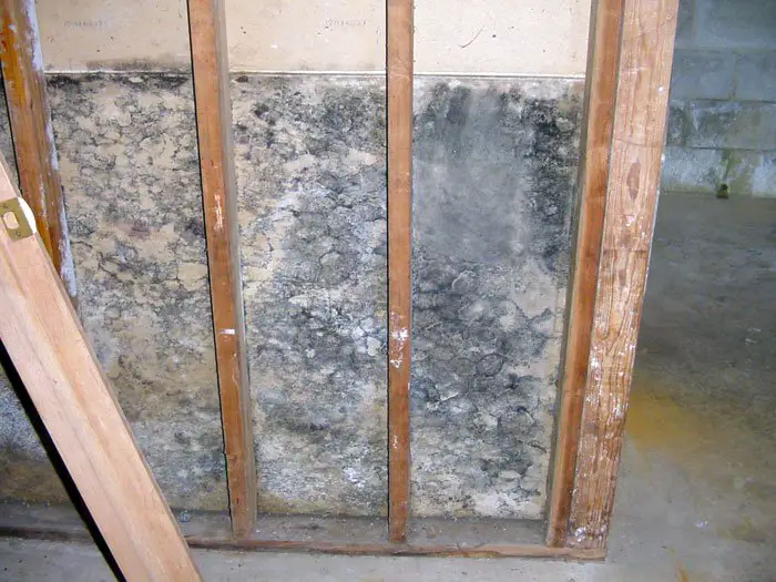 Drywall Damage: Wet Drywall &  Mold