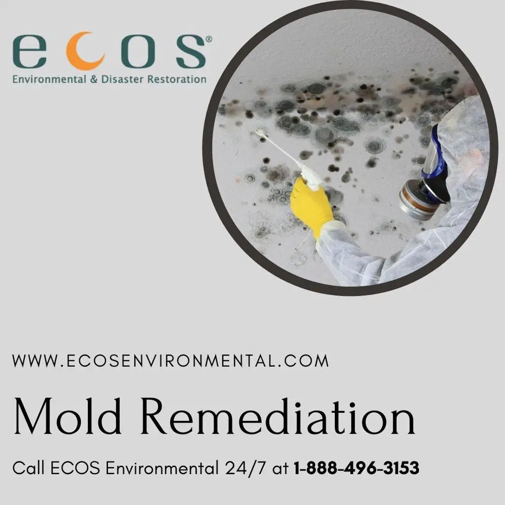 ECOS Environmental &  Disaster Restoration, Inc., Grand Junction, CO