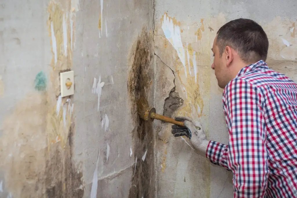 Effective Ways to Prevent the Growth of Mold in Tampa, FL ...