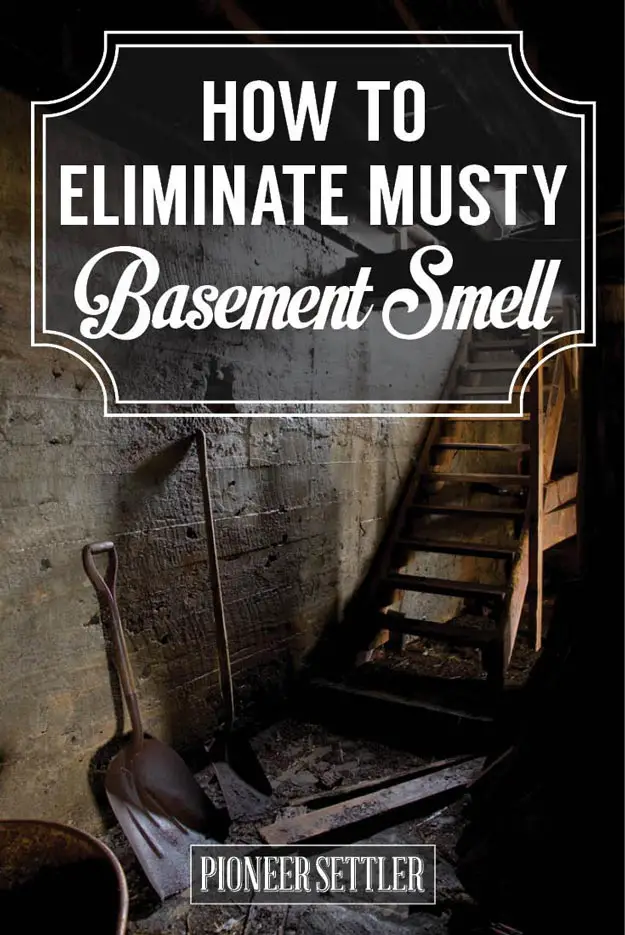 Eliminate Musty Smell in Basement