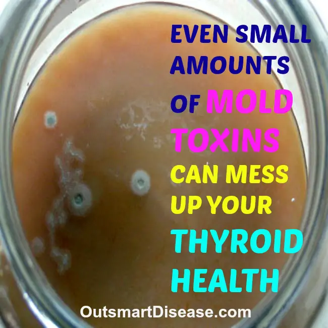 Even small amounts of mold toxins can mess up your thyroid health ...