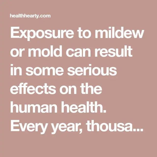 Exposure to mildew or mold can result in some serious effects on the ...