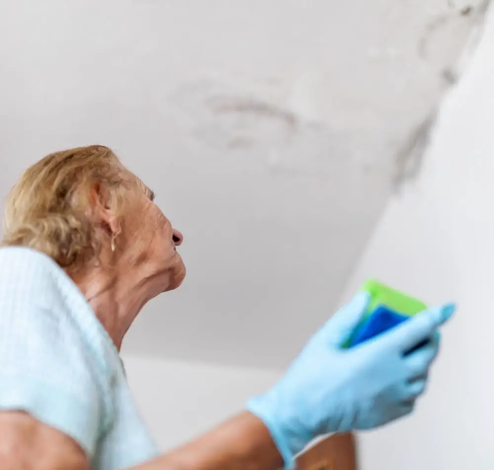 Exposure to Mold