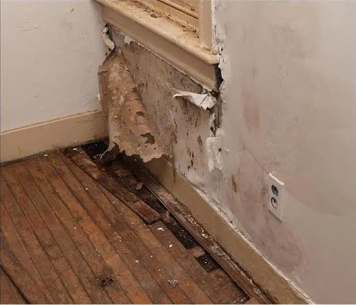 Finding and Treating Mold in Your Commercial Property