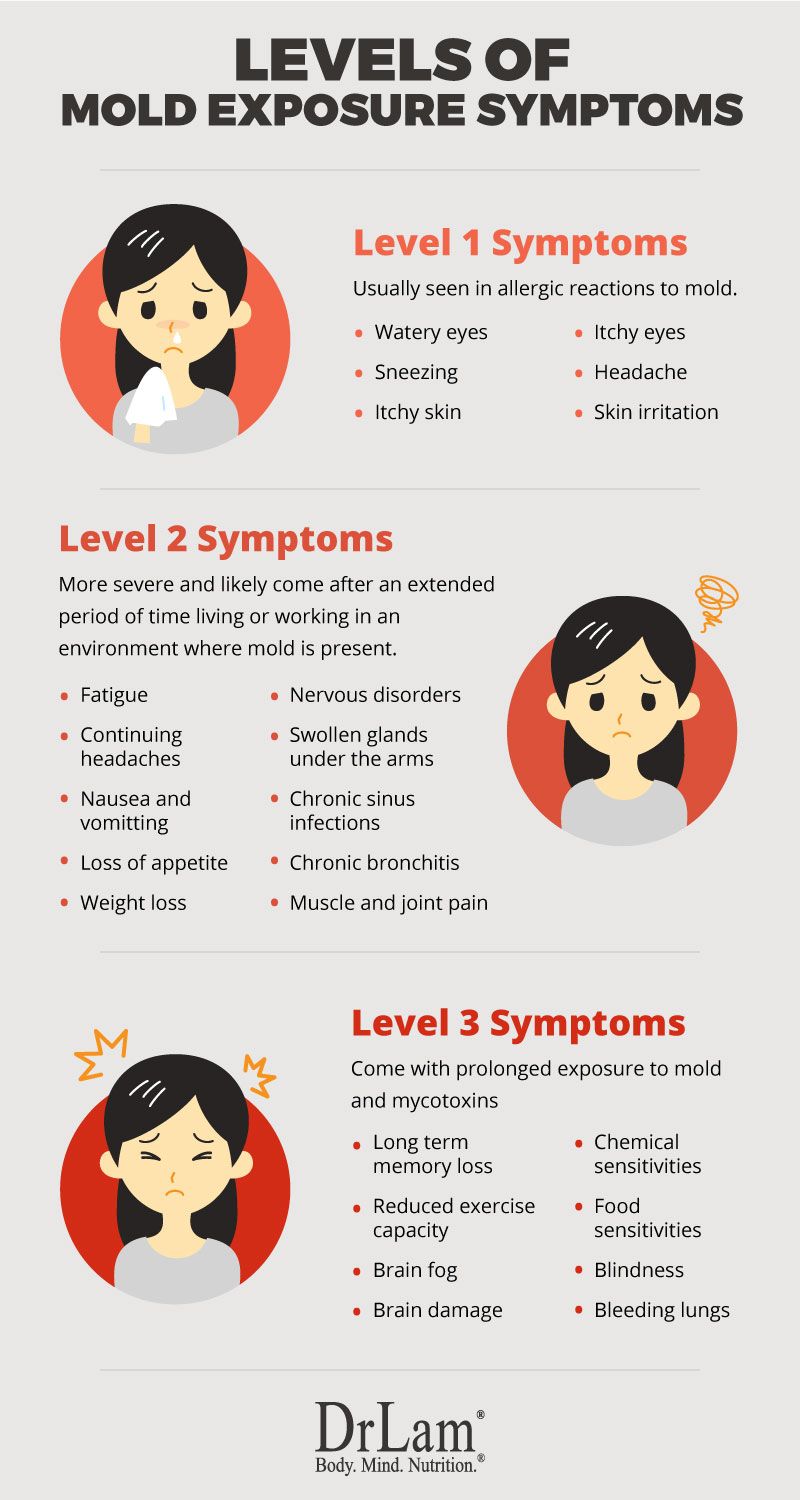 Fundamentals of Mold Exposure Symptoms and Adrenal Fatigue ...