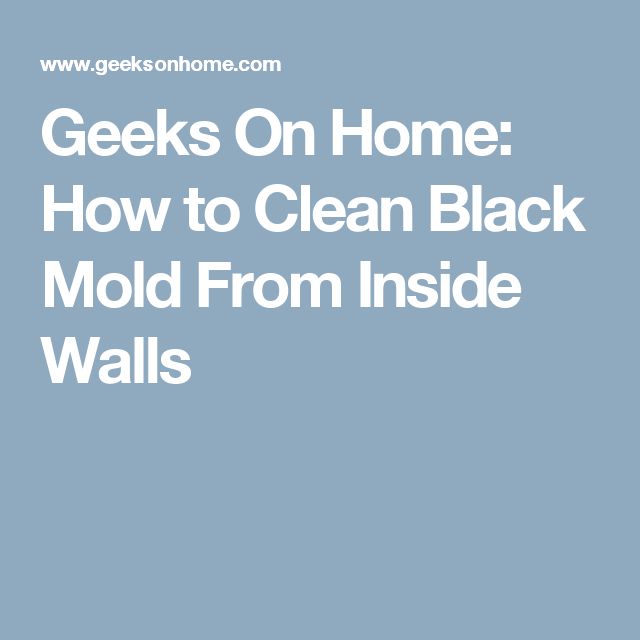 Geeks On Home: How to Clean Black Mold From Inside Walls